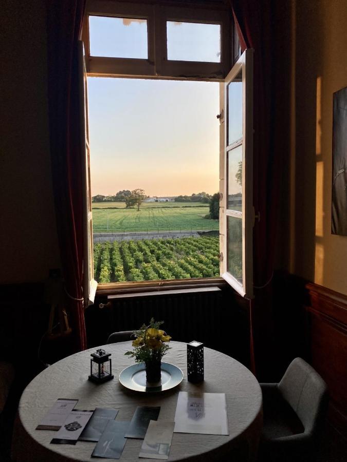 Hotel Particulier Chateau Des Marais Proximite Et Vue Sur Le Lac De Grand Lieu Saint-Philbert-de-Grand-Lieu Екстериор снимка